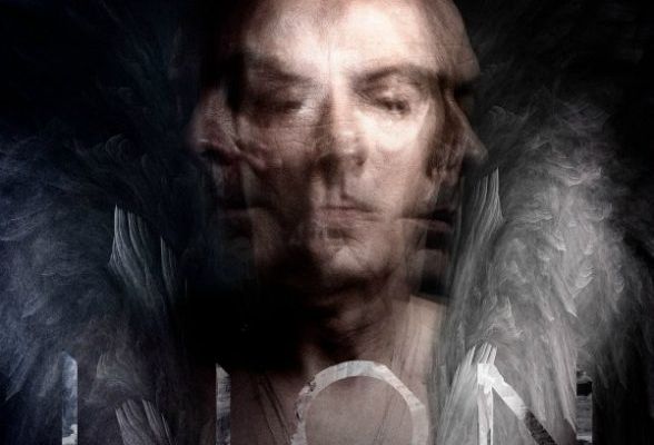 Peter murphy youtube