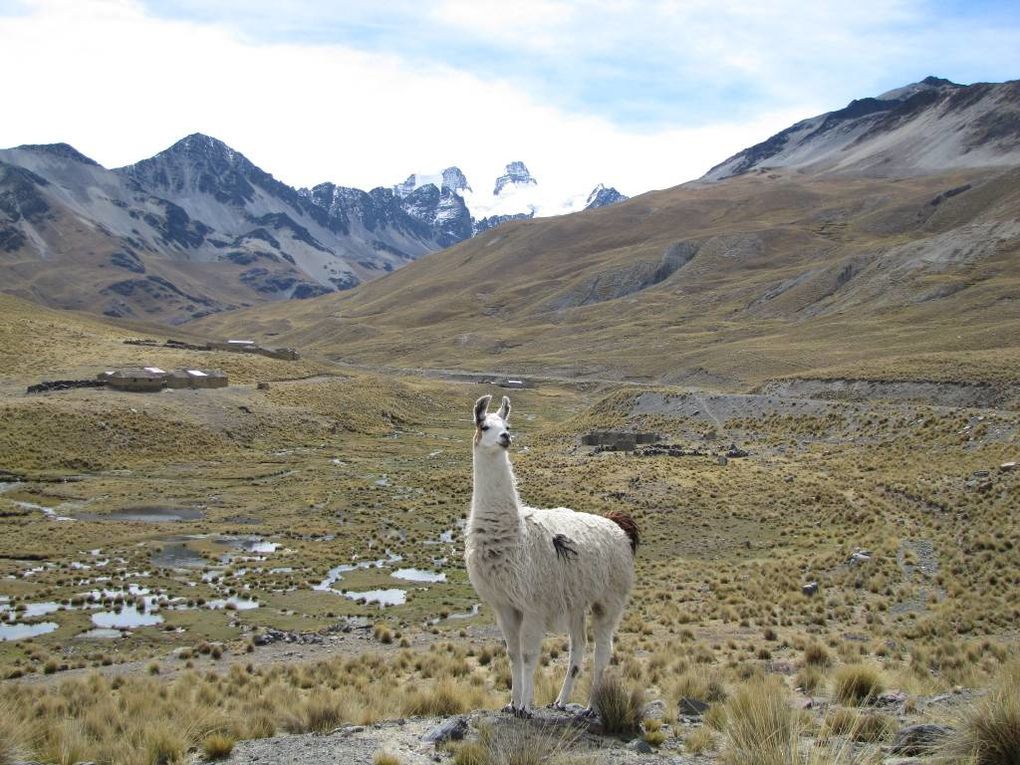 Album - Bolivie