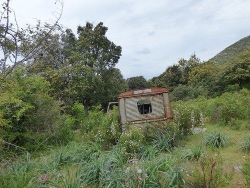 LE PONT, LE CHENE ET LES EPAVES