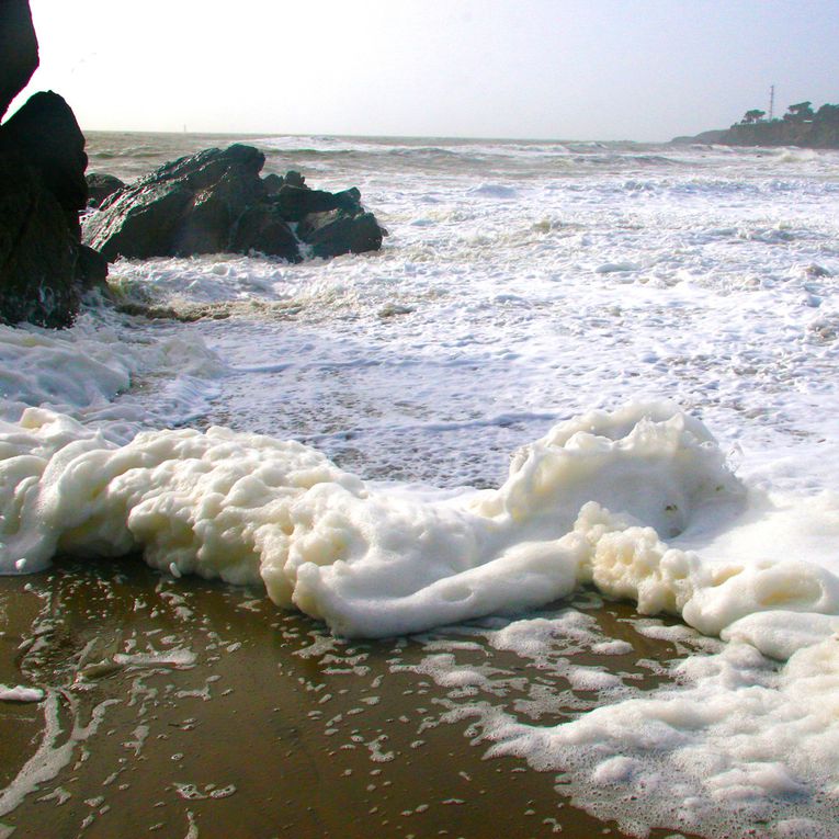 Album - Dunes et Plages