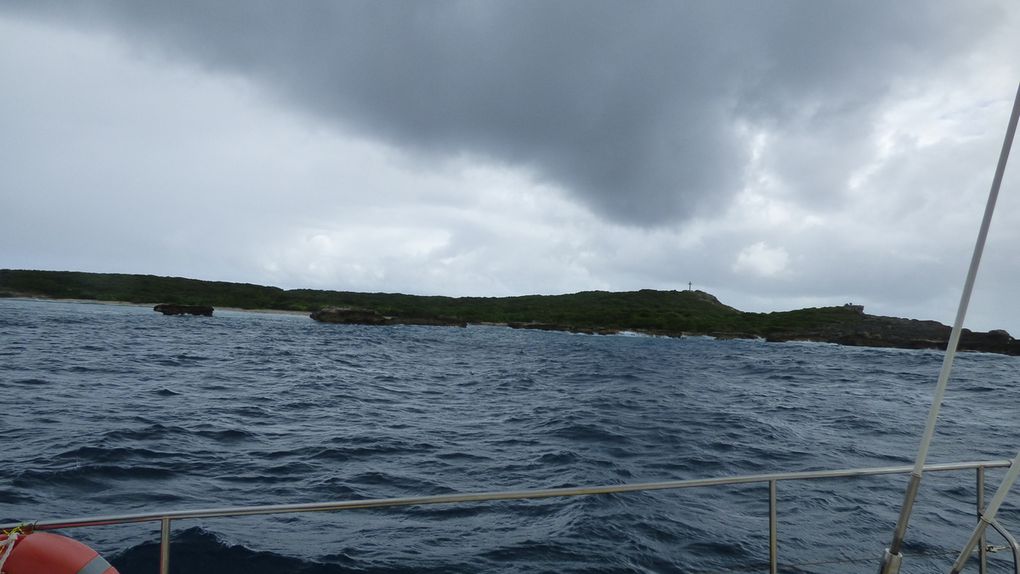 Journée à Petite Terre