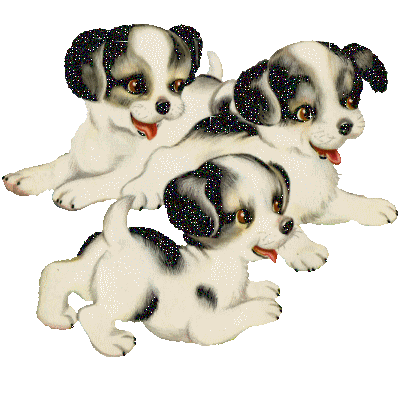 Chiots - Animaux - Gif scintillant - Gratuit