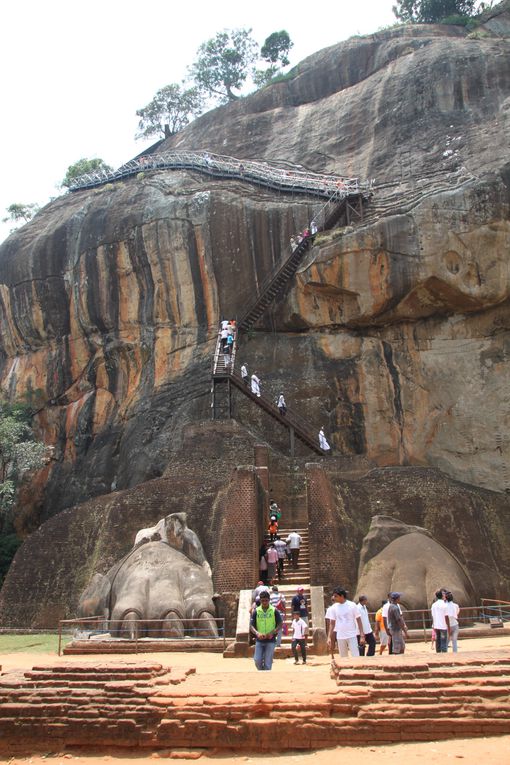 LION ROCK 

il suffit de monter qq marches et en un clin d'oeil vous voila sur le toit du monde!