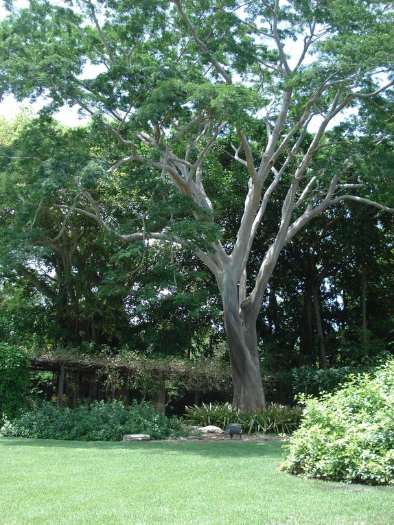 Un immense jardin avec plusieurs milliers de fleurs tropicales en tout genre ! Une super ballade au pays des plantes !