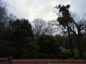 Ciel au Couchant du 28.12.22 - Ciel au Levant du 29.12.22.
