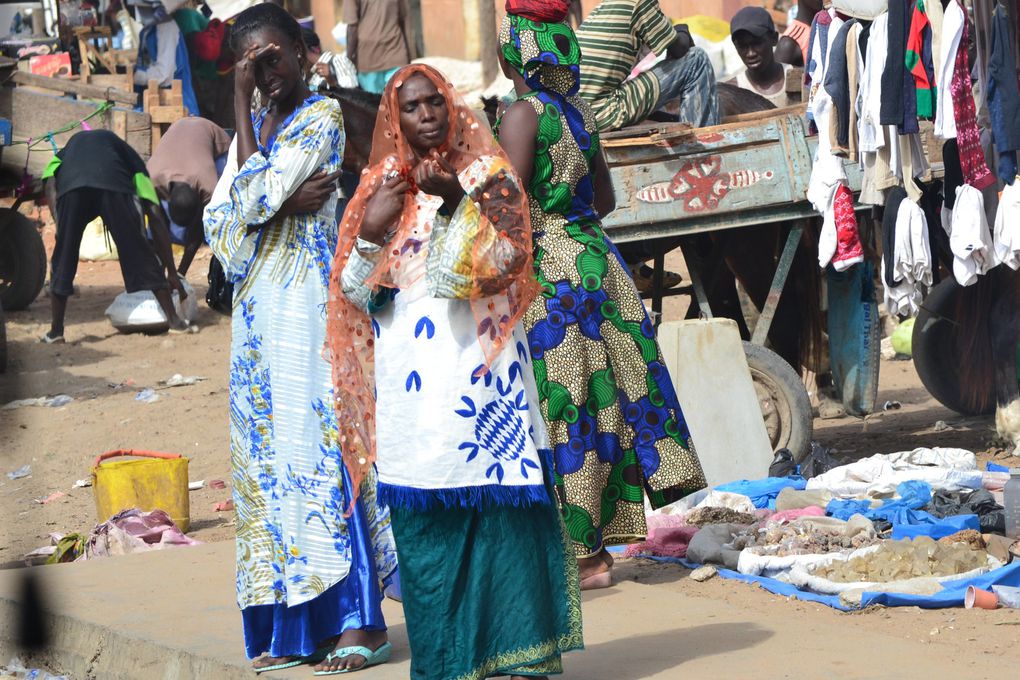 Album - Senegal