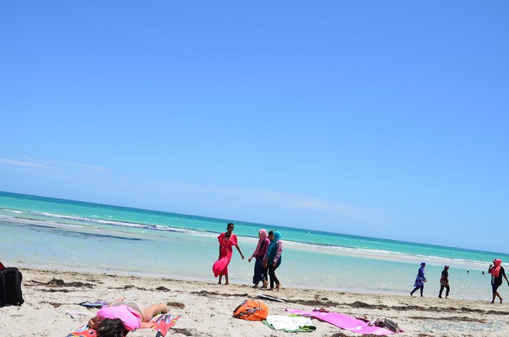 Djerba (La presqu'île des flamants roses)