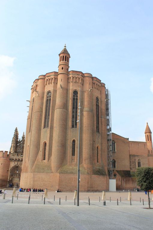 Le groupe et la Cathédrale Sainte-Cécile