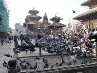 Le quartier de Durbar Square, le soir ou la journée, véhicule toujours cette douceur et le rythme suave des flâneurs qui profitent du temps présent; pas d'emphase ni de show, juste la simplicité avec cette cuisinière du soir, puis la place de Durbar Square, d'une beauté inoubliable avec ses ballets de pigeons, parfaits figurants dans ce décor somptueux !!!