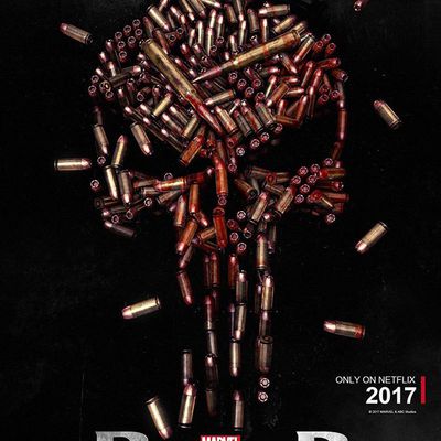 The Punisher Saison 1 de Steve Lightfoot : Un thriller-action bien mené !