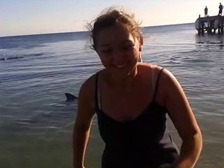 Les dauphins de Monkey Mia 