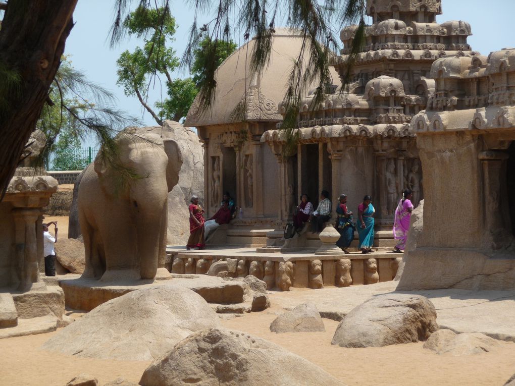 Album - Inde-du-Sud : Tamil Nadu, Kerala, Karnataka.