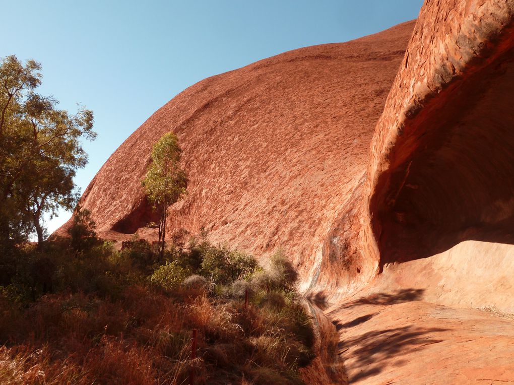 Album - 41 Uluru und die Olgas