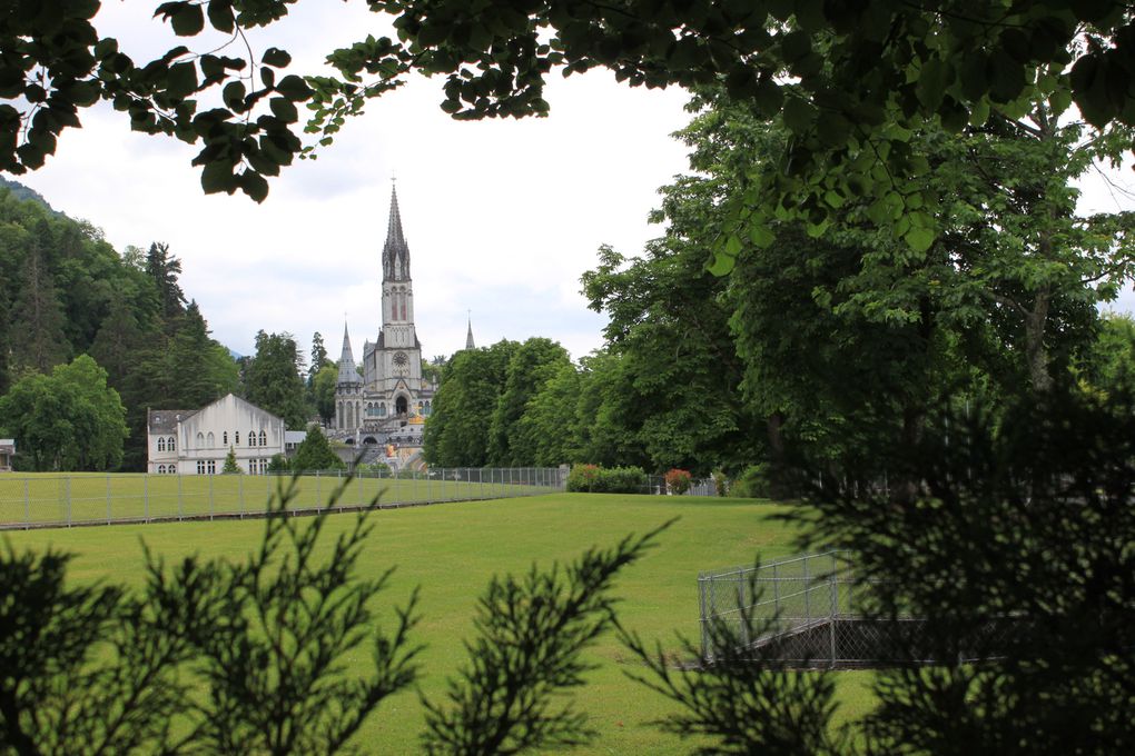 Pèlerinage avec l'ordre hospitalier de Saint-Jean de Dieu