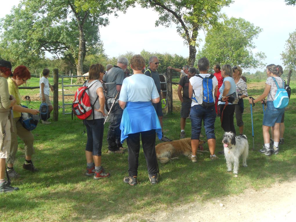 SORTIE : &quot; Vallée  Bonnelle / Buzon &quot;