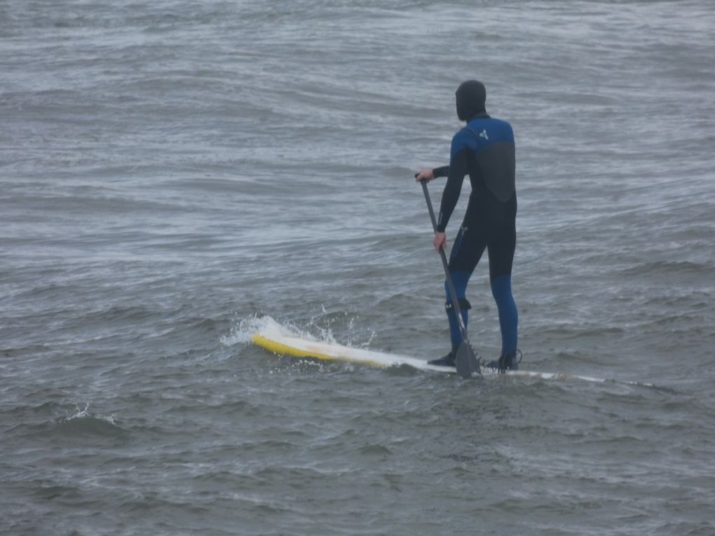 Bernaches et paddleurs