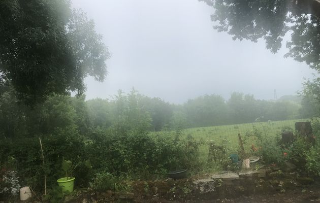 Pluie et fraîcheur 