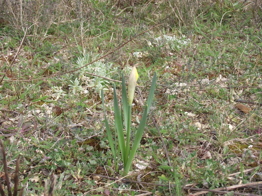 Froid et froid et humide 
photos à partir du 5 avril