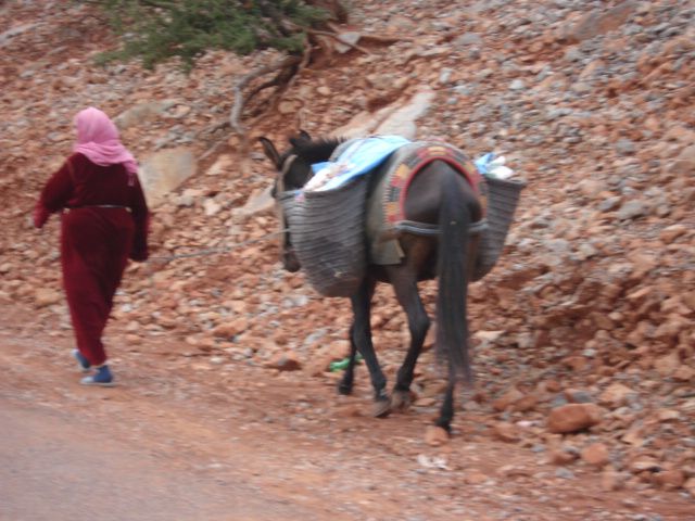 Album - Casablanca-Agadir