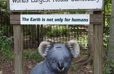 Lone Pine Koala Sanctuary