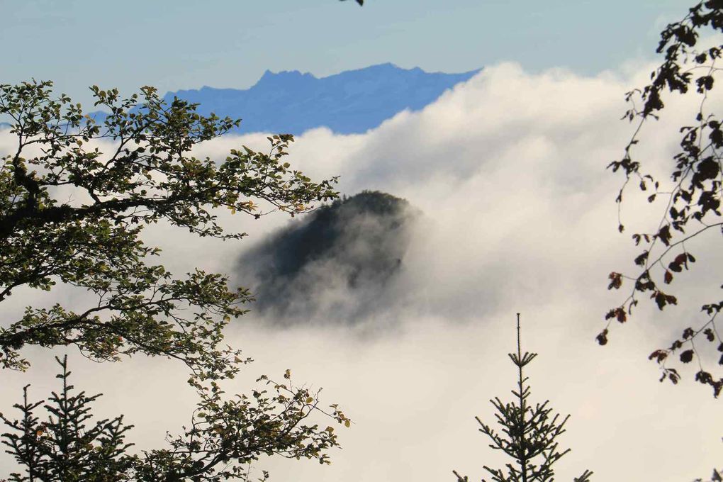 La tête dans les nuage