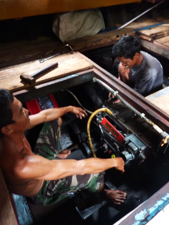 Kalimantan, le Borneo indonesien.
Rencontre avec les orang utan. 
'Orang' = homme. 'Orang utan' = vieil homme de la foret.