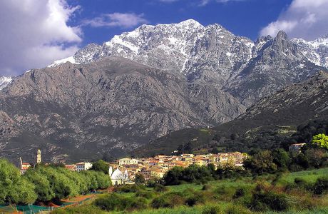 LA BATAILLE DE CALENZANA.