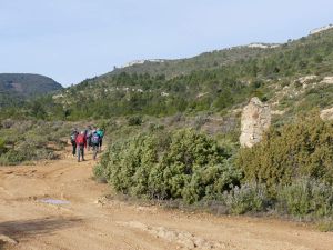 ALBAS &quot;Autour du Roc des Quiés&quot;  Fév 2019