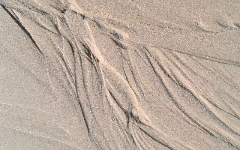 Les secrets des dunes
