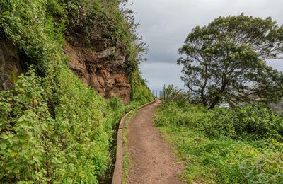 L'ile de Madère, partie 3