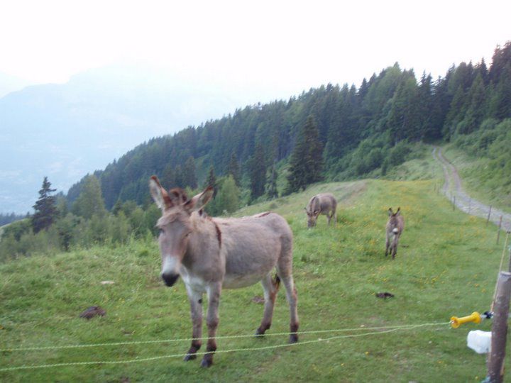 trop dur, pourtant que la montagne est belle