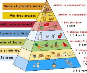 RÉGIME OU RÉÉDUCATION, RECOMMANDATIONS…