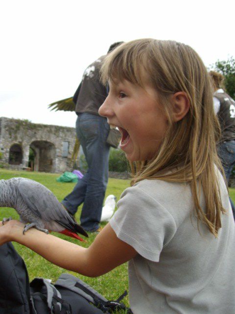 Album - Donjon-des-Aigles