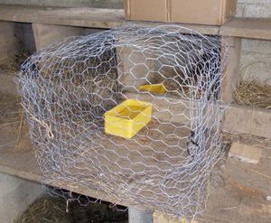 La cage de protection