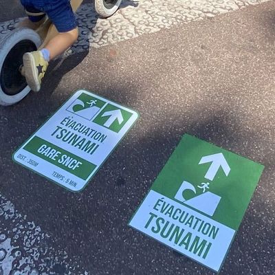 #FRANCE - Tsunami : Pourquoi des milliers de téléphones vont-ils sonner simultanément dans le Sud vendredi ? +  Prédiction de Ned Dougherty : une vague géante va engloutir New York !