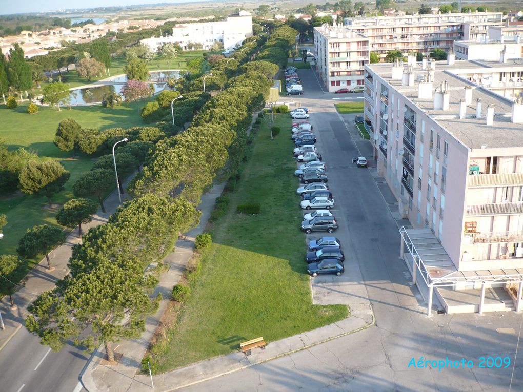 Festival de la Camargue et des oiseaux 2015