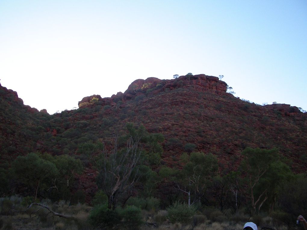 Album - The-Ultimate-Oz-Experience-2--Outback--The-Olgas---Ayers-Rock---Kings Canyon