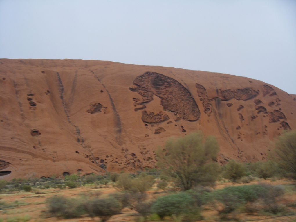 Album - Uluru