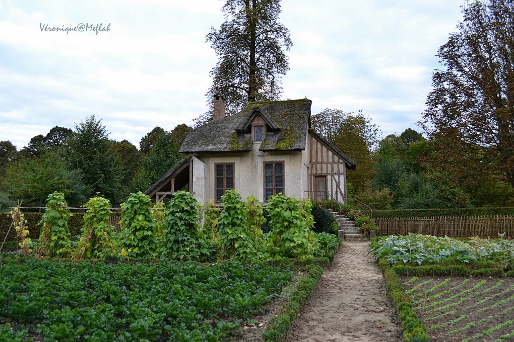 Château de Versailles et ses jardins