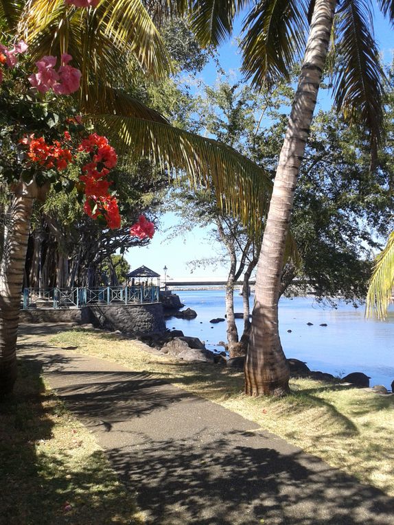 Découverte de Saint Pierre de la Réunion