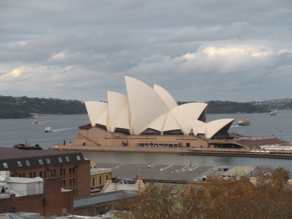 Sydney, son opéra, le Harbour Bridge, ses plages... Voici la plus grande ville d'Australie