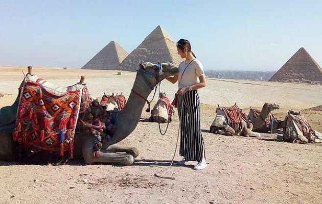 Tours los Caballos en Las Pirámides de Guiza