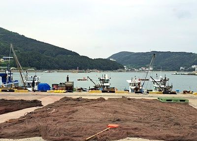 Geojedo (1) ... Une première visite des plus tumultueuses !