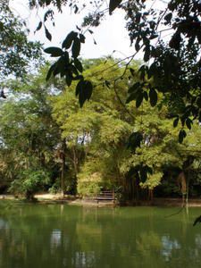 Chic et populaire à la fois, cette "Paris des Tropiques", au coeur de l'Amazonie, enchante par ses vestiges de la Belle Epoque cachés derrière une effervescence colorée et métissée. Beauté des traits indiens dans la cohue du quotidien, traces 