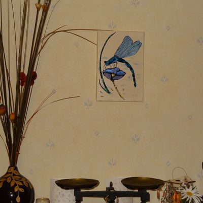 238 - Belle demoiselle libellule bleue