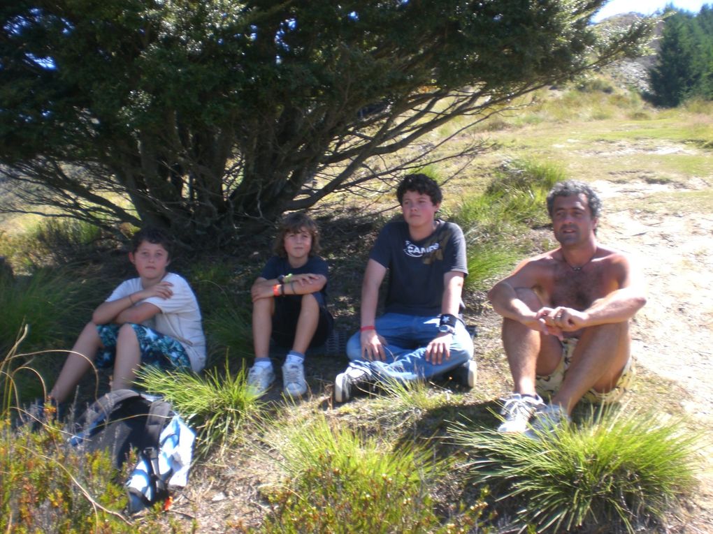 Album - NZ3