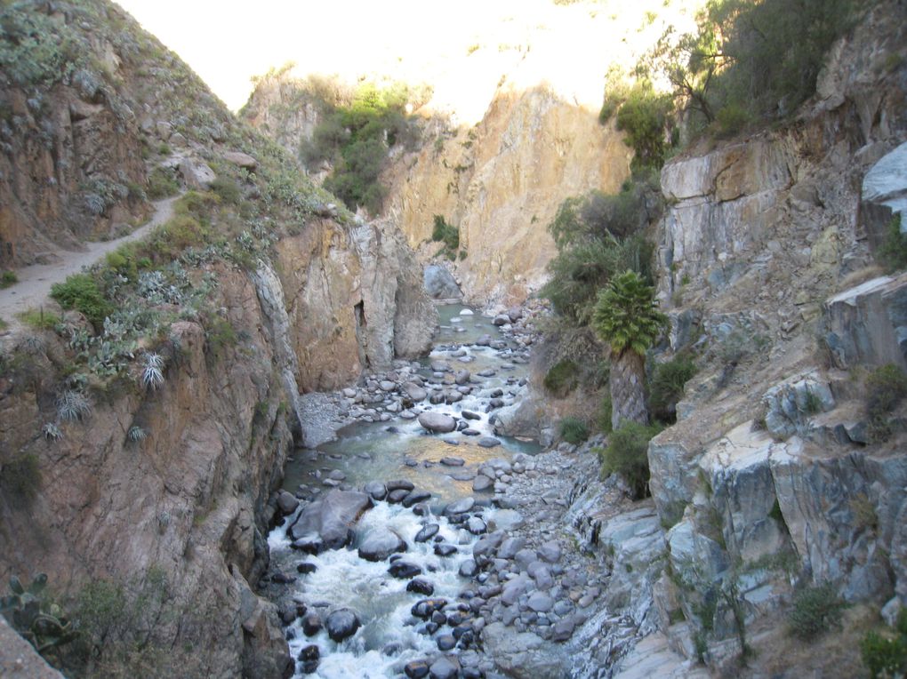 Album - Colca Canyon - 5 Juillet