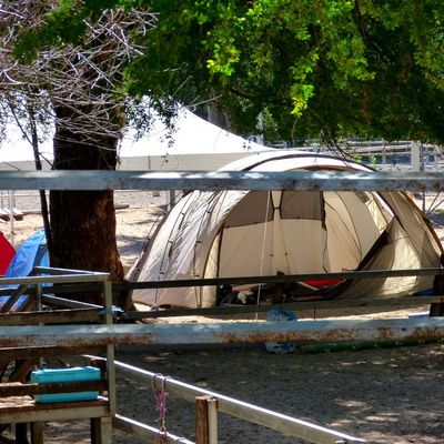 Le camping au poney club