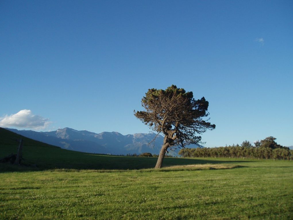 Album - 2009-12-13-New Zealand,Kaikoura