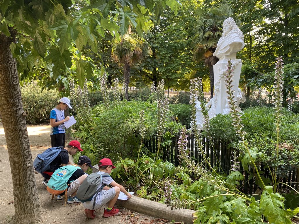 CM1 et CE1/CM1 Jeu depiste au jardin des Tuileries